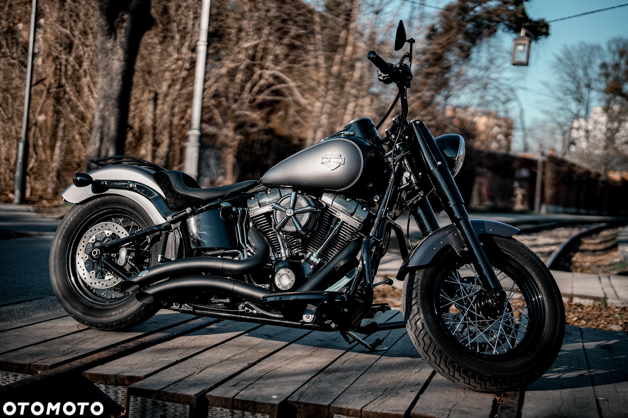 Harley-Davidson Softail Slim - 2