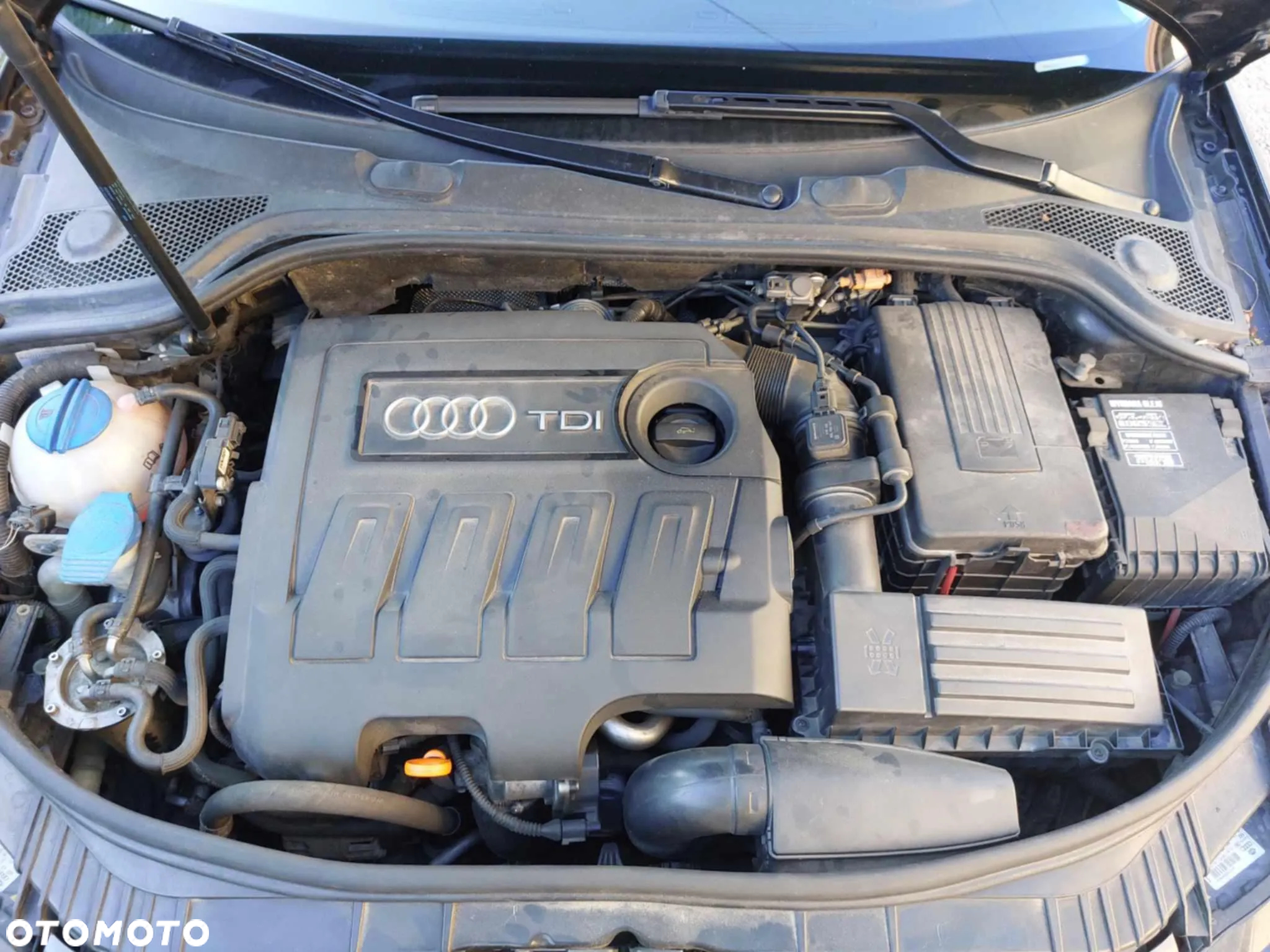 Audi A3 1.6 TDI Ambition - 10