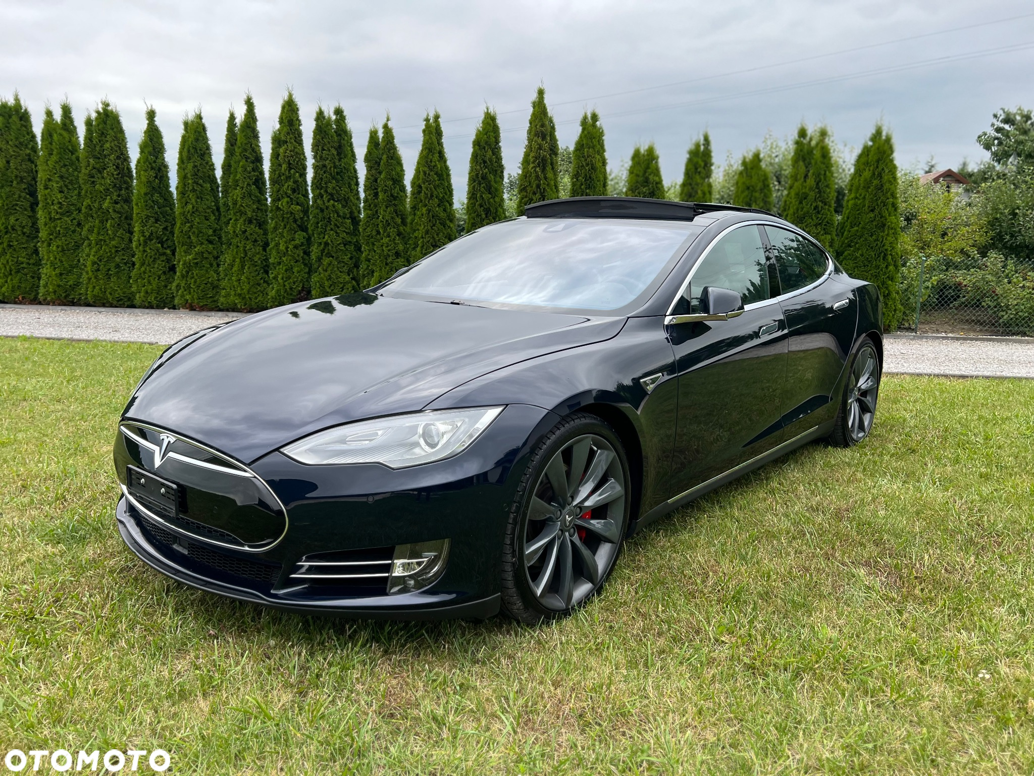 Tesla Model S Performance - 12