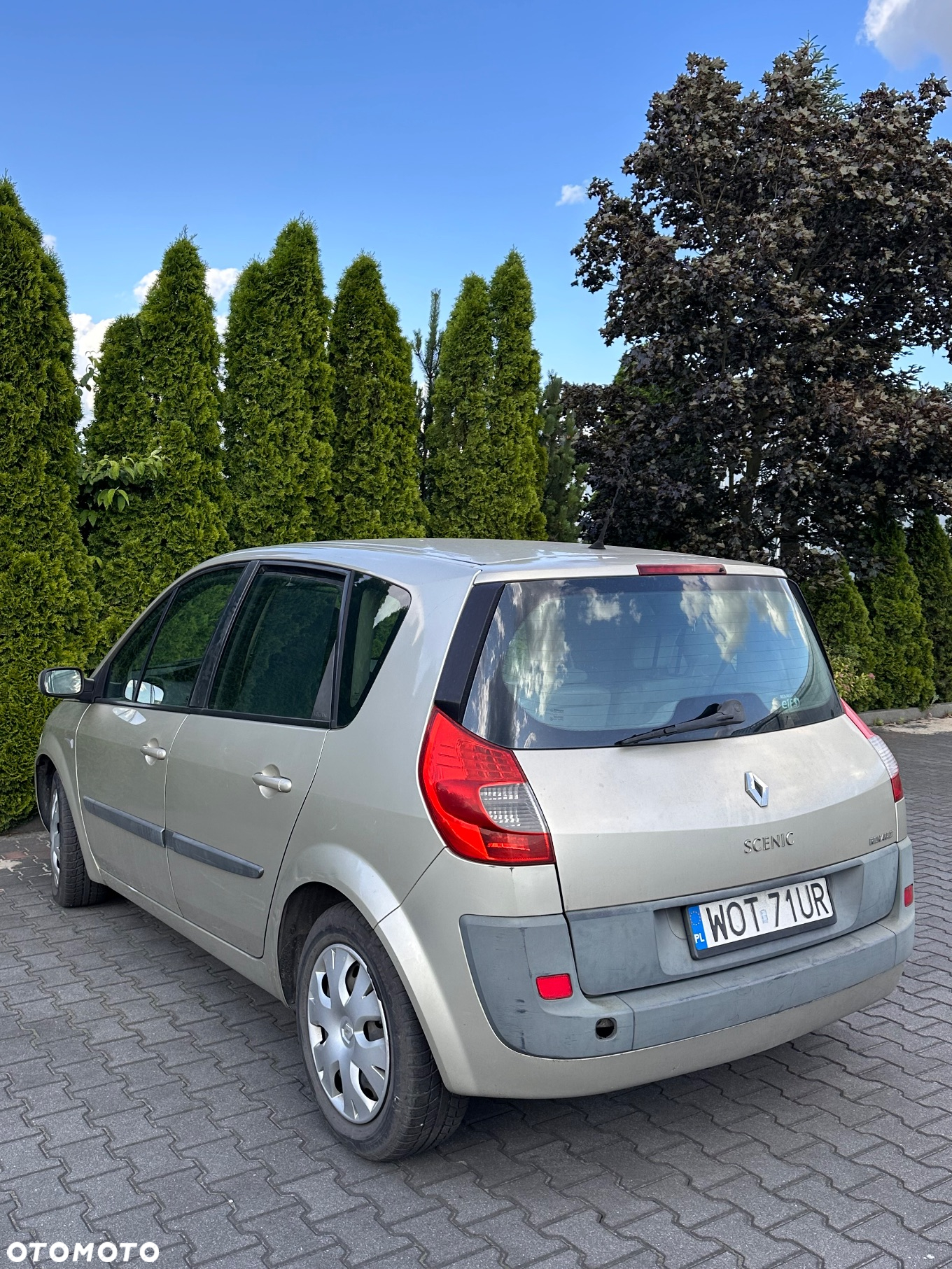 Renault Scenic - 2