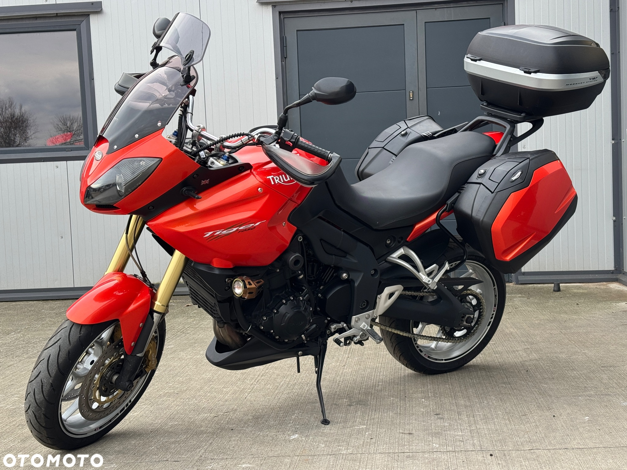 Triumph Tiger - 26