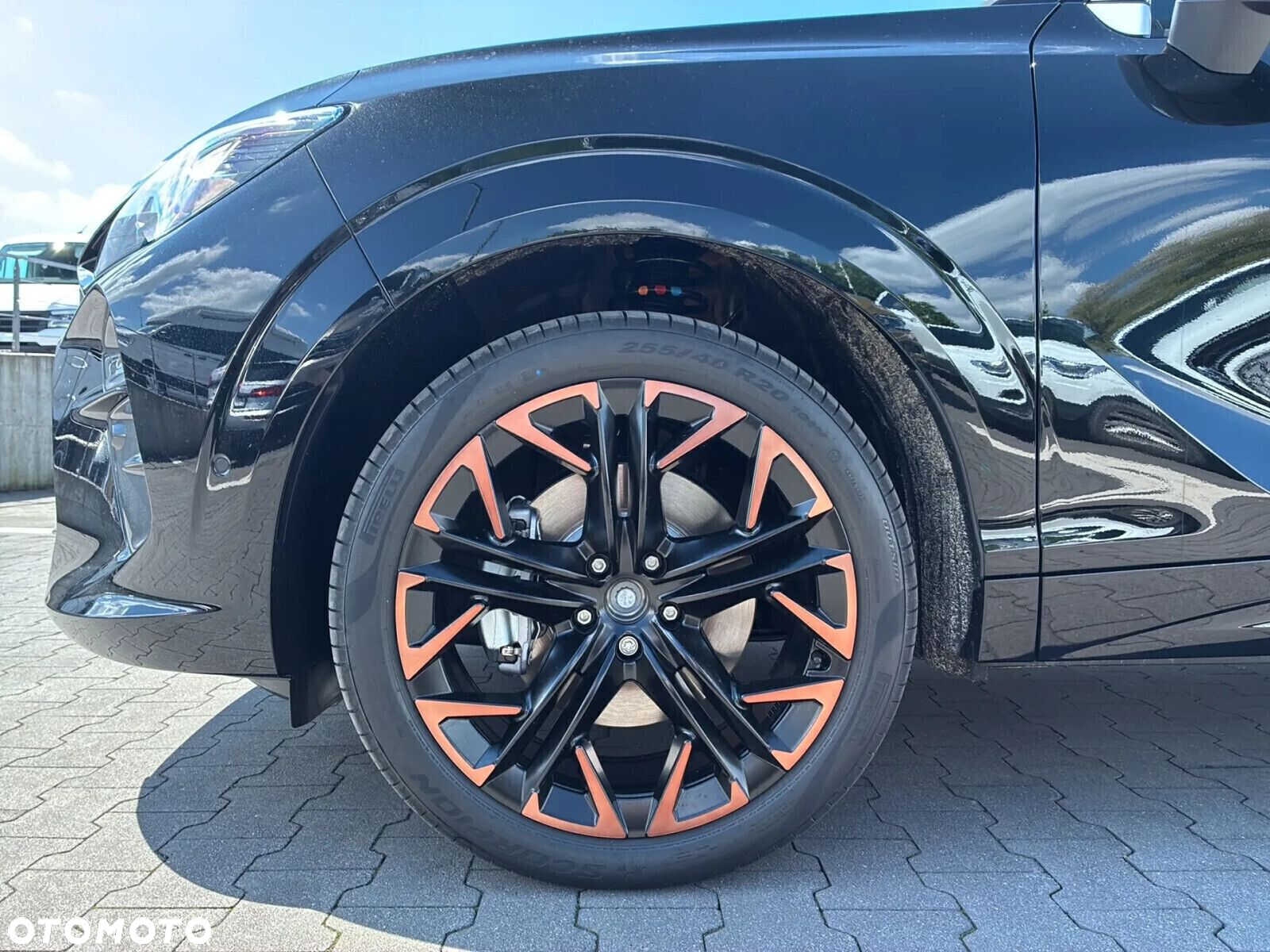 Cupra Terramar - 20