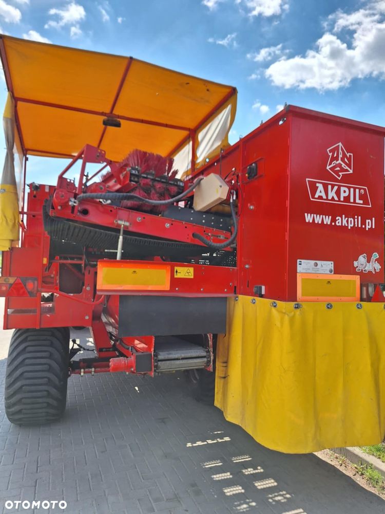 Akpil kartofel - 3