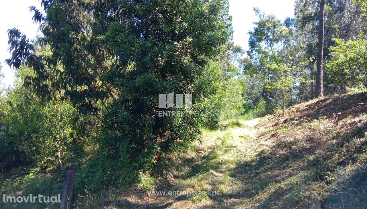 Terreno para venda, Gondarém, Vila Nova de Cerveira - Grande imagem: 2/15