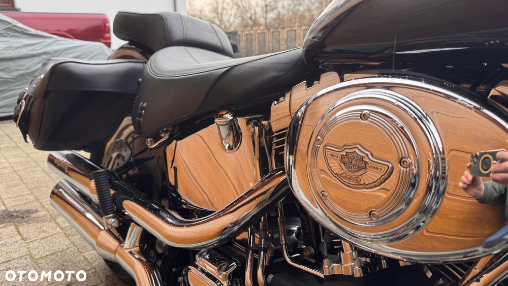 Harley-Davidson Softail Fat Boy - 17