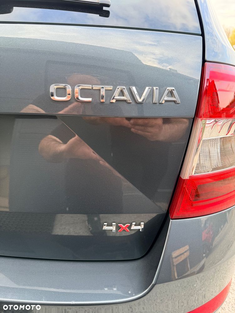 Skoda Octavia 2.0 TDI Green tec 4x4 Elegance - 17