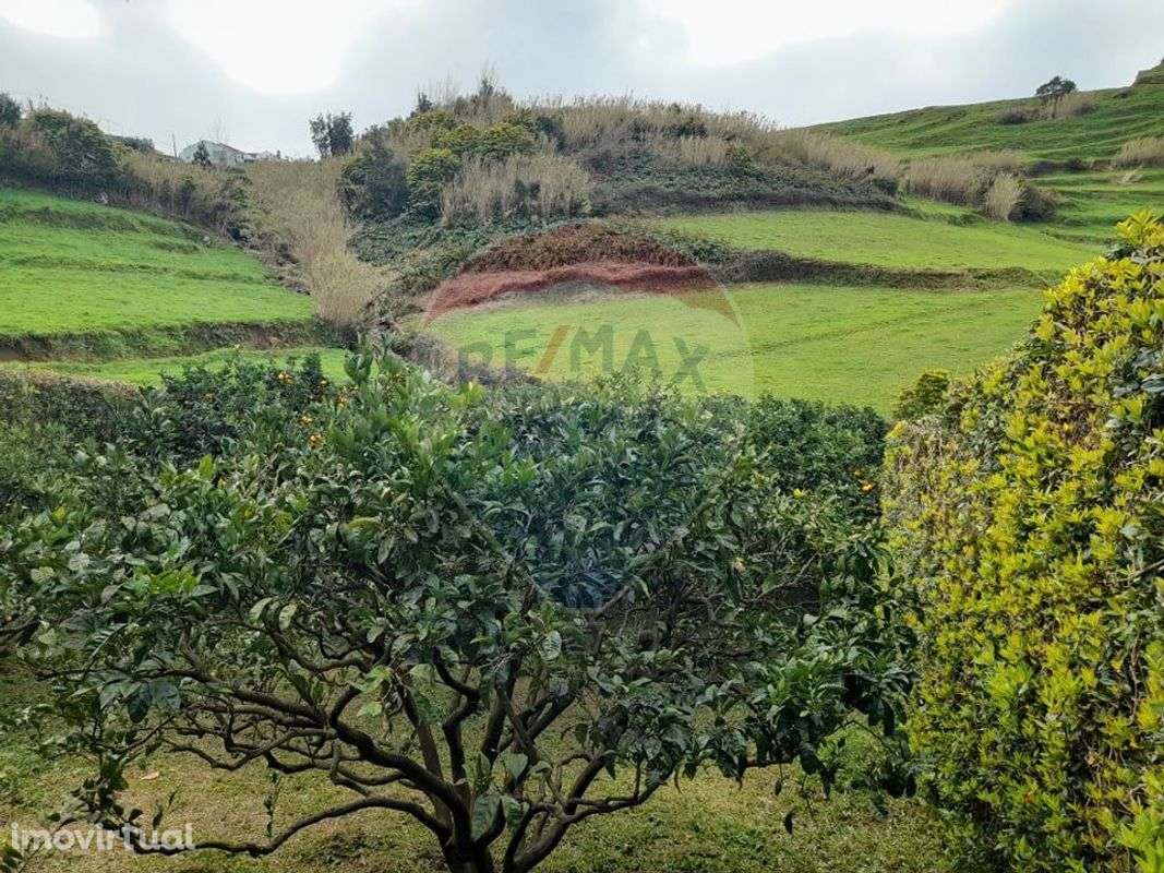 Terreno  para venda - Grande imagem: 4/7