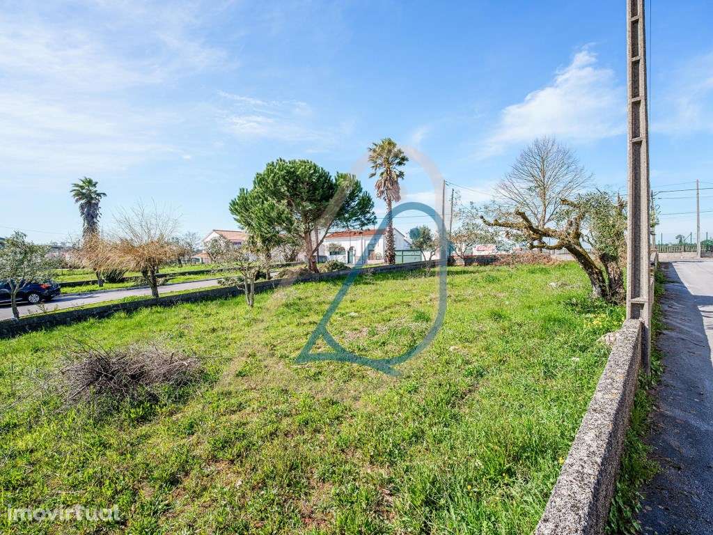 Lote Construção/ Fátima /Ourém - Grande imagem: 2/23