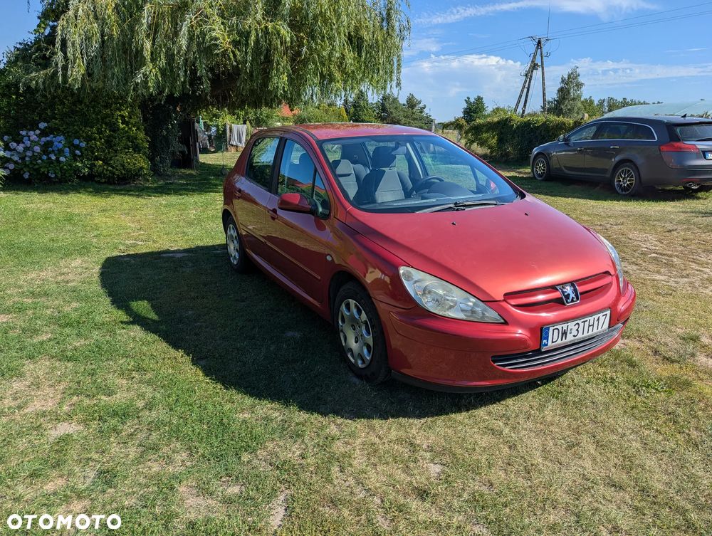 Peugeot 307 1.6 - 10