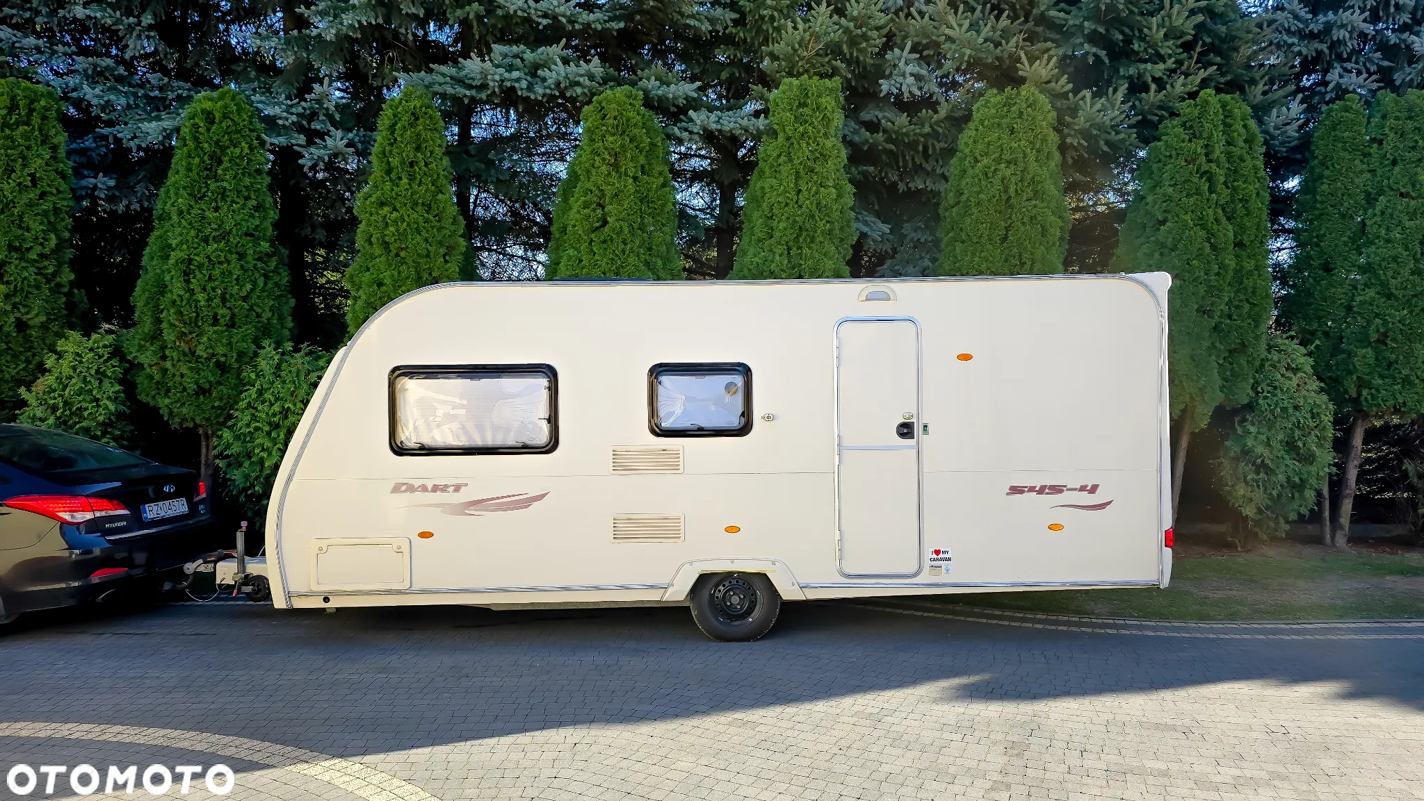 Avondale Dart - 3