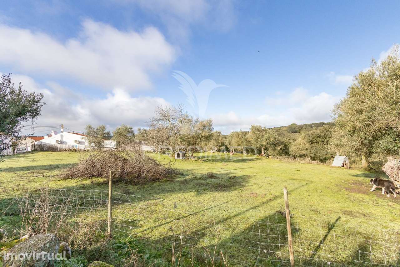 Terreno- Arraiolos, São Pedro da Gafanhoeira - Grande imagem: 2/29
