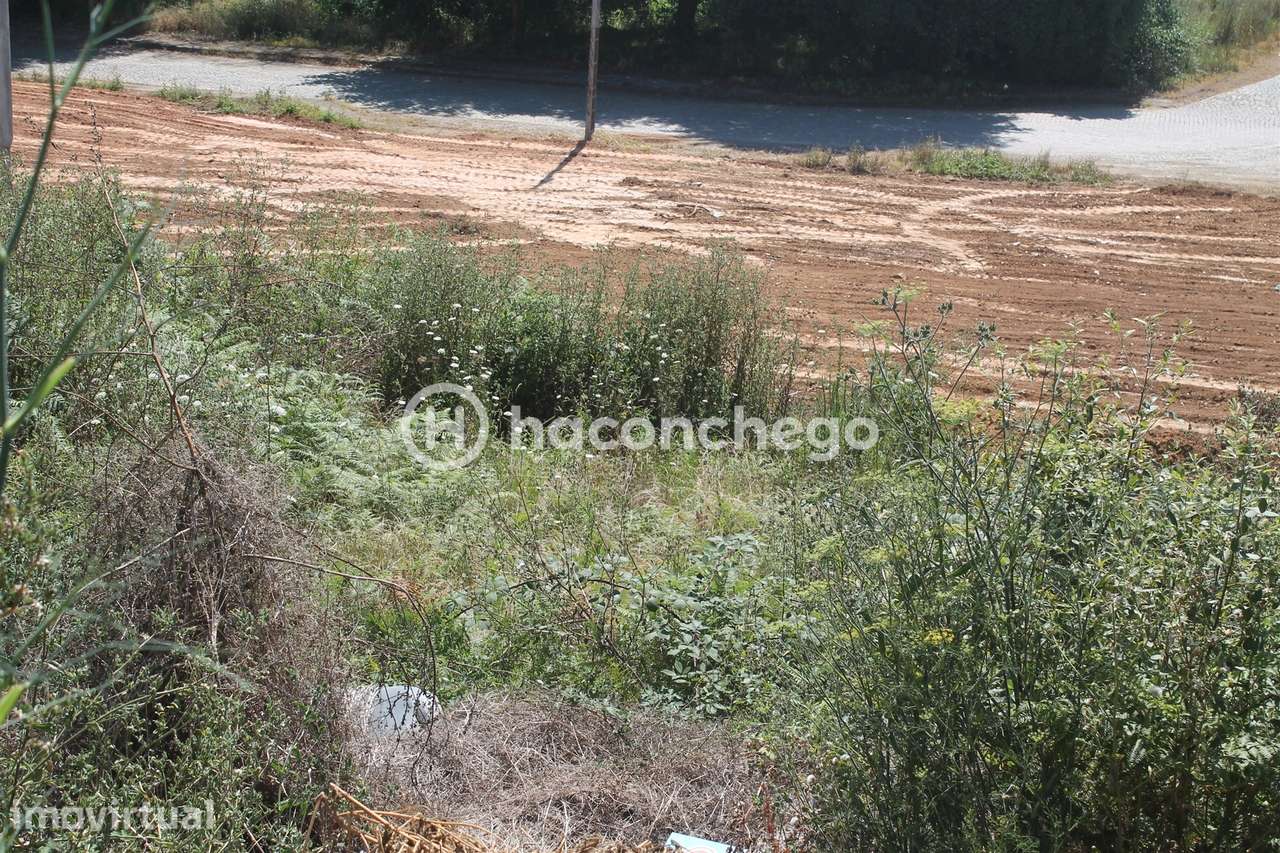 Terreno urbano na Lama Barcelos - Grande imagem: 3/10