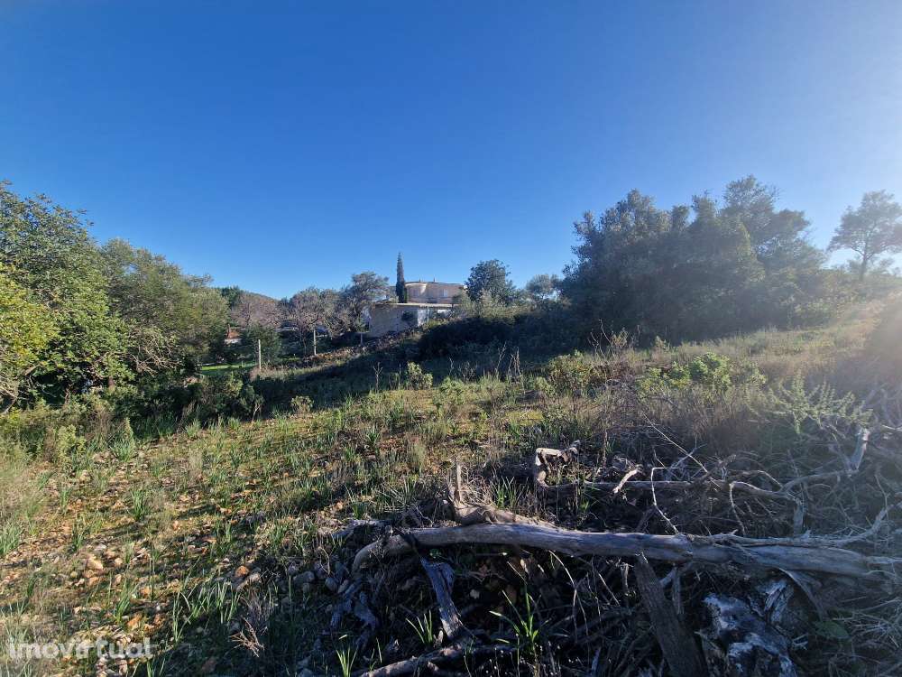 Terreno Misto com Projeto Aprovado e Licenciado - Tunes - Grande imagem: 3/31