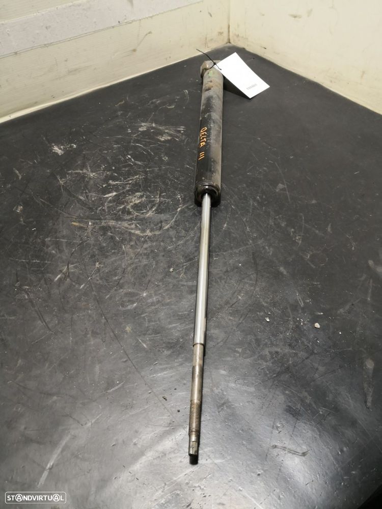 Amortecedor Trás Esq Lancia Delta Iii (844_) - 1