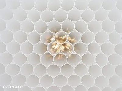 Brenderup CD260WBR 750kg od ręki !! DOSTAWA - 15