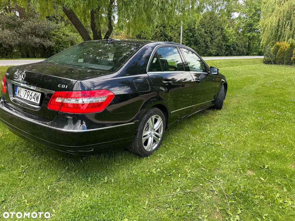 Mercedes-Benz Klasa E 250 CDI DPF BlueEFFICIENCY Automatik Avantgarde - 12