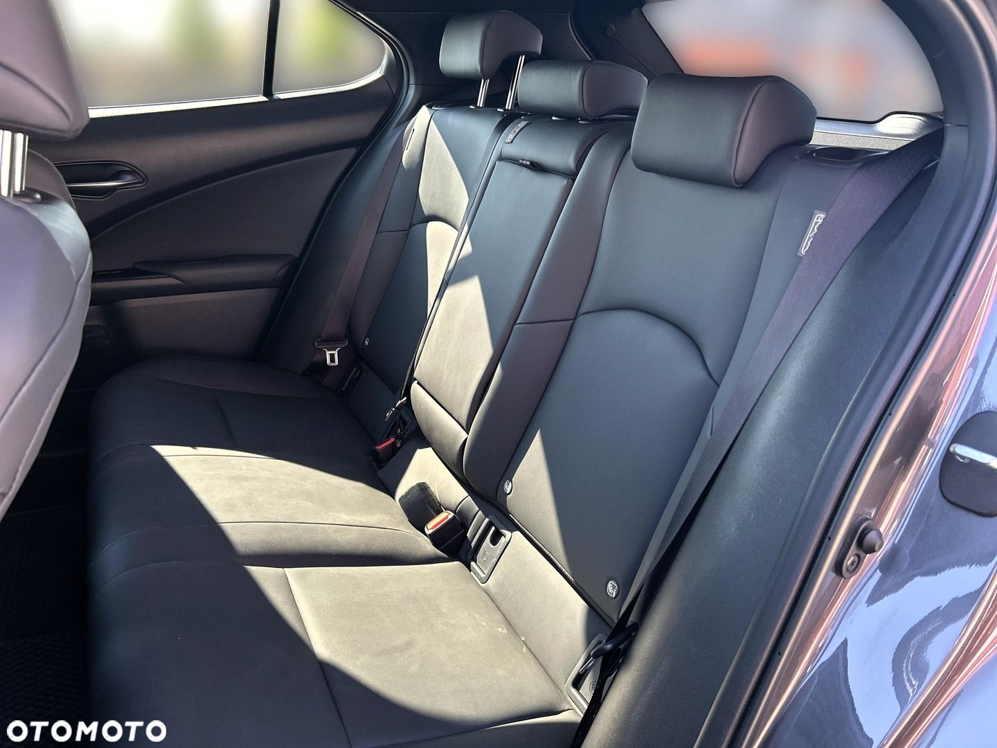 Lexus UX 250h GPF F Sport Design 2WD - 15