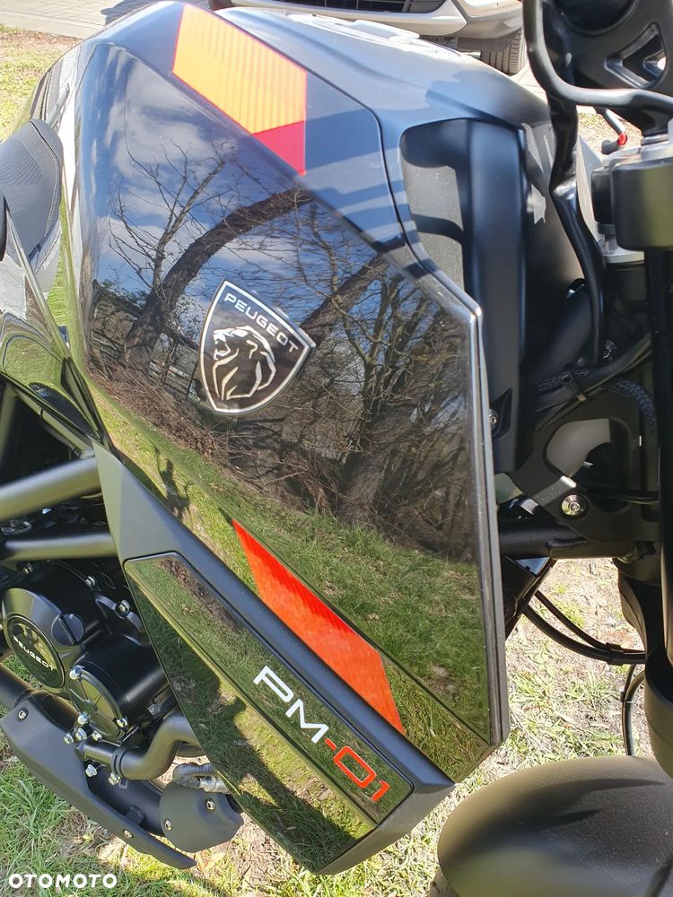 Peugeot PM-01 - 16