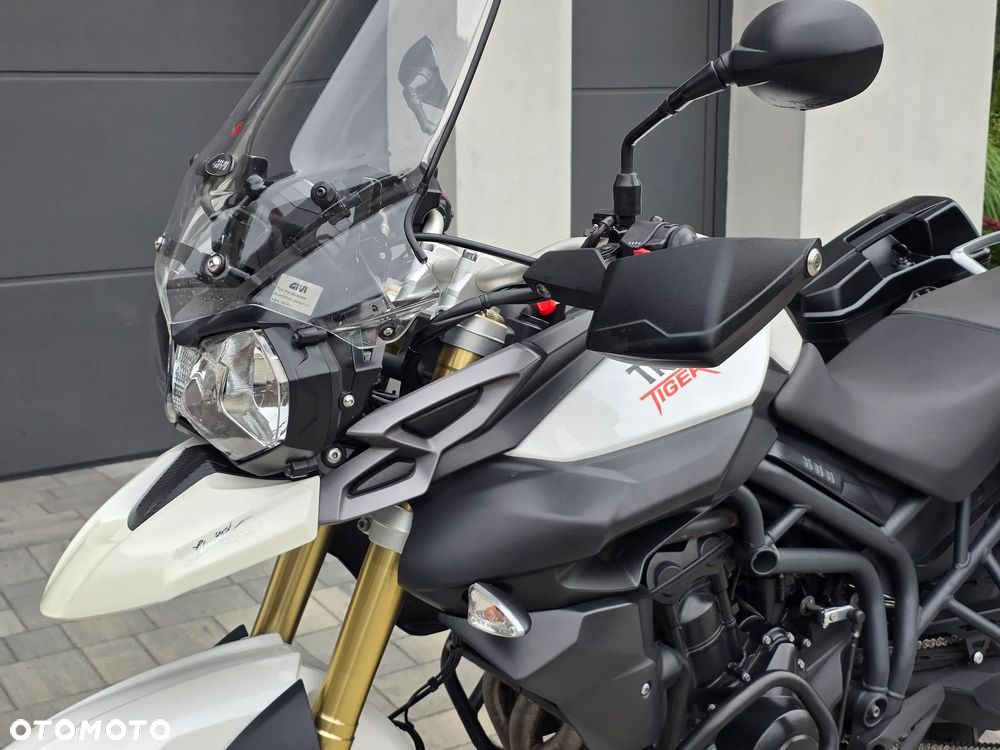 Triumph Tiger - 24