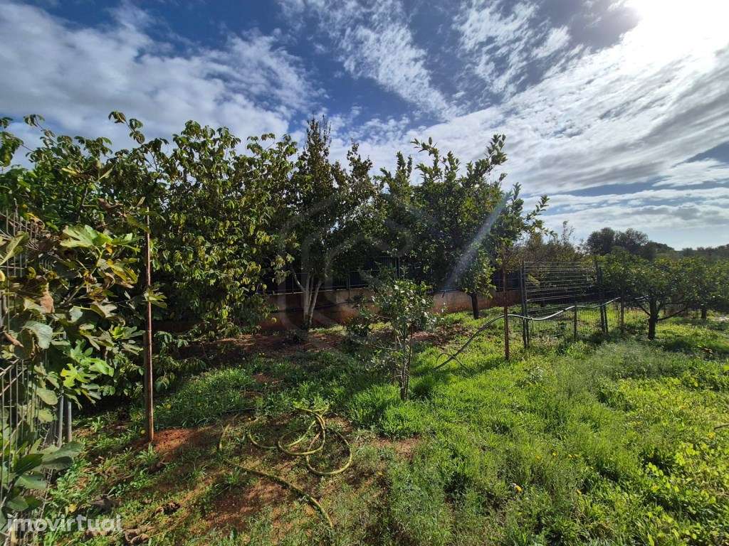 TERRENO PRONTO A USAR - RÚSTICO, PRÓXIMO À VILA SOL - Grande imagem: 2/41