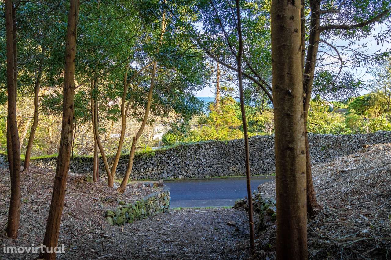 Lote para Construção com Vista Mar na Caloura – Lote Nº3 - Grande imagem: 3/33