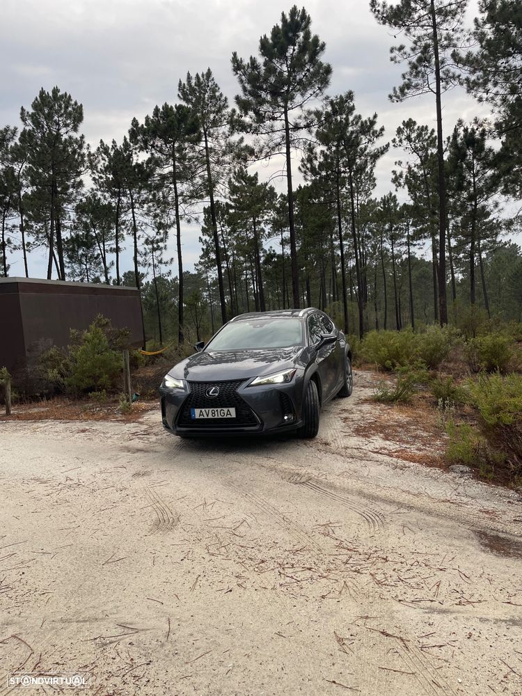 Lexus UX 250h - 3