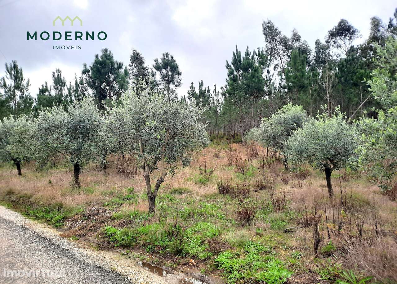 Terreno Construção – Outeiro da Ranha, Vermoil – Pombal - Grande imagem: 3/9