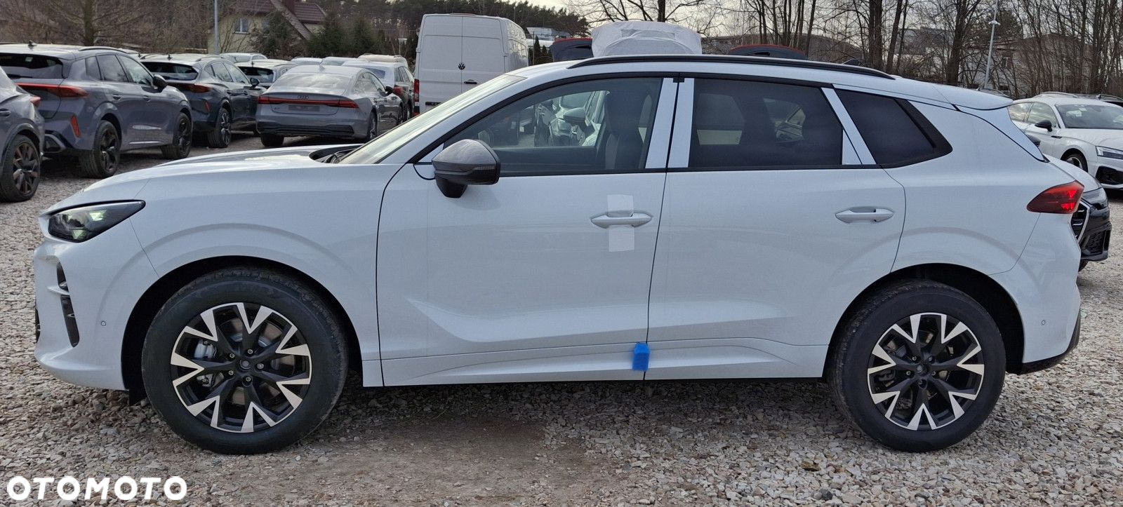 Cupra Terramar - 5