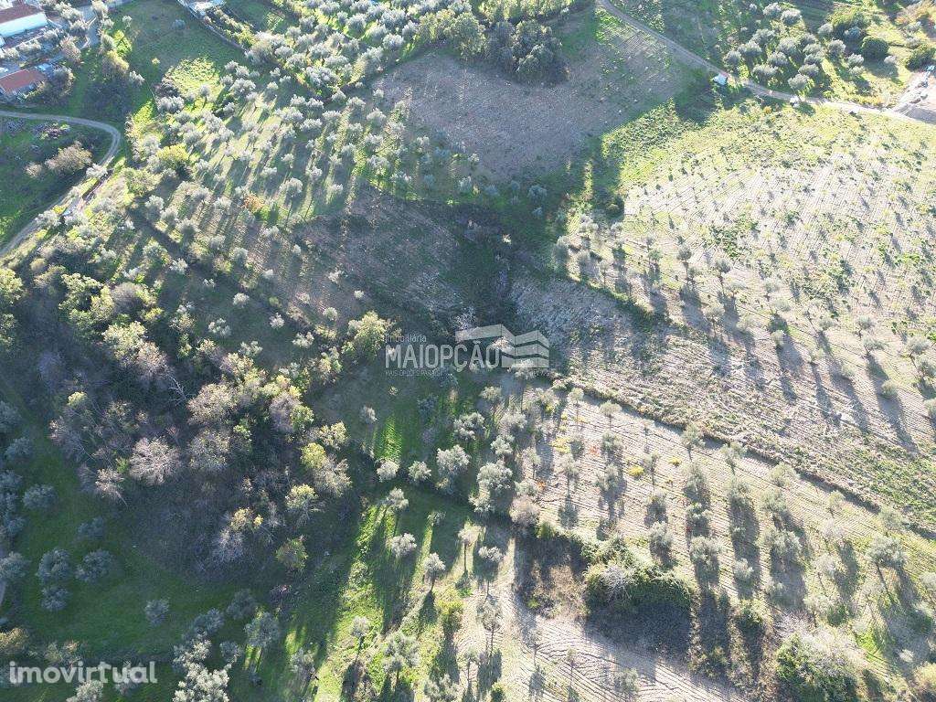Terreno Grijó de Parada - Grande imagem: 4/6