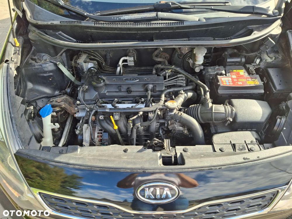 Kia Rio - 19
