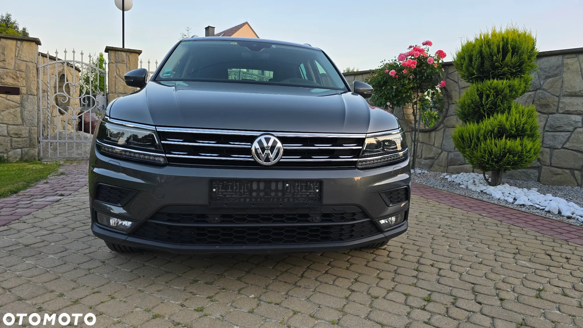 Volkswagen Tiguan - 25