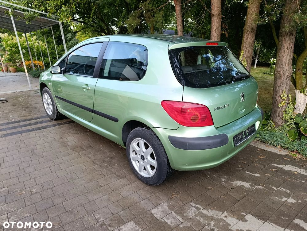 Peugeot 307 110 Grand Filou - 4