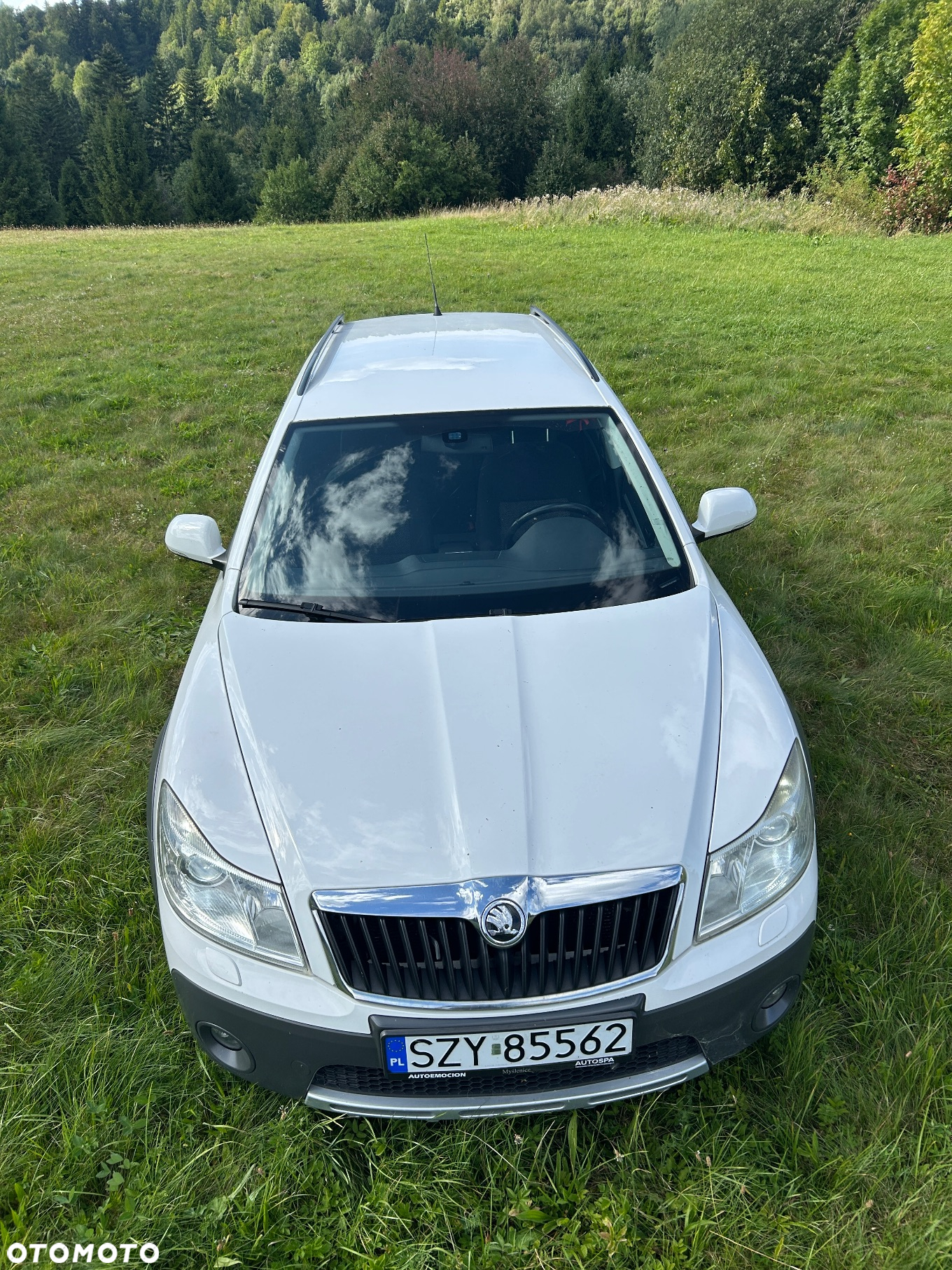Skoda Octavia Scout 2.0 TDI DPF - 8