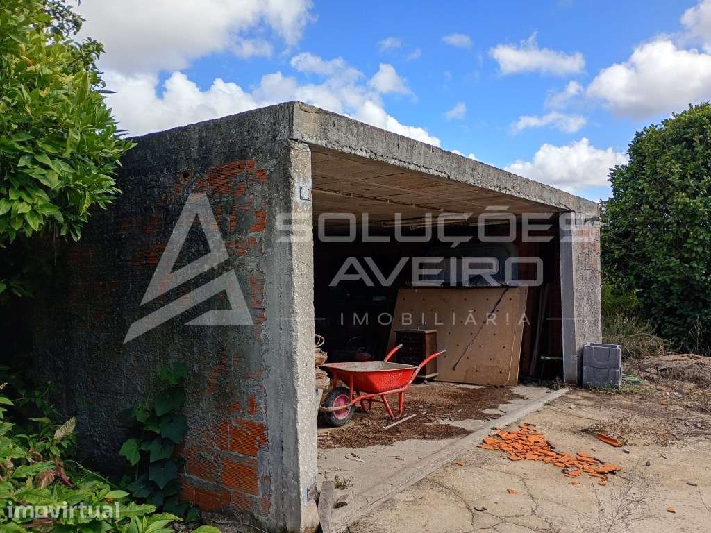 Moradia T4 Típica Gandaresa para Remodelação - Excelente Oportunida... - Grande imagem: 4/11
