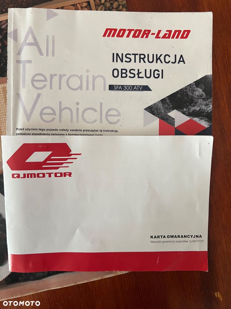 QJMOTOR SFA 300 - 10