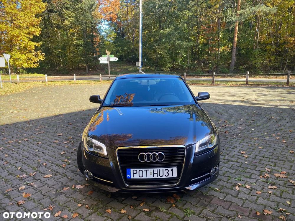 Audi A3 Sportback 1.6 TDI DPF Ambition - 13