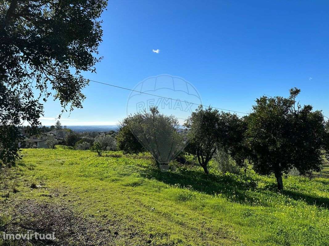 Terreno  para venda - Grande imagem: 5/9