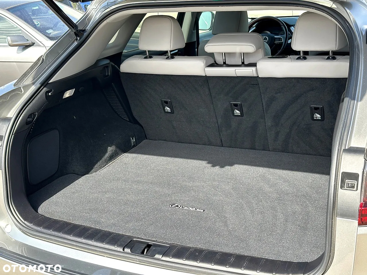 Lexus RX - 10