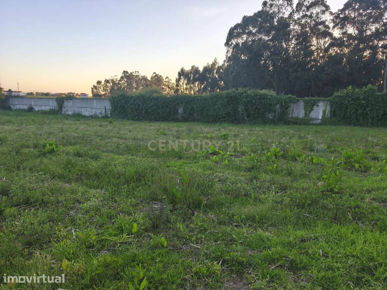 Terreno com elevado potencial de valorização, ideal para investidores - Grande imagem: 4/26