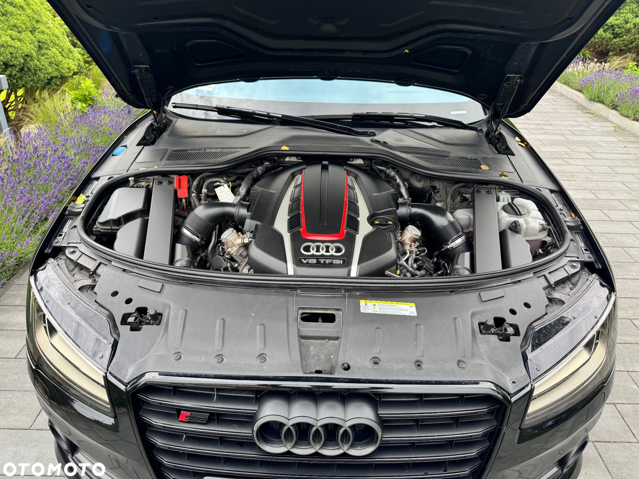 Audi S8 Plus 4.0 TFSI Quattro - 13