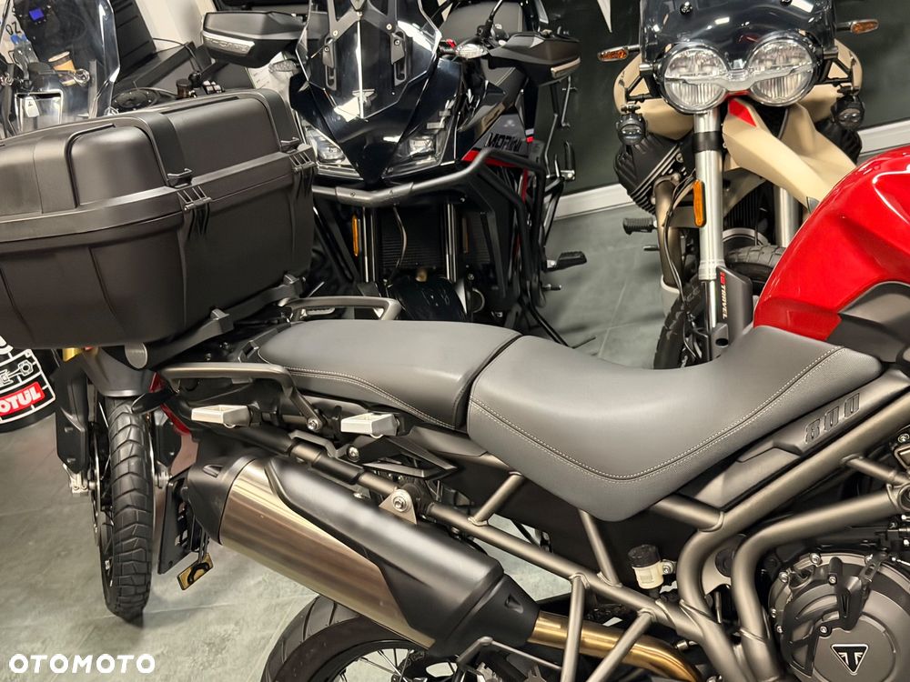 Triumph Tiger - 12