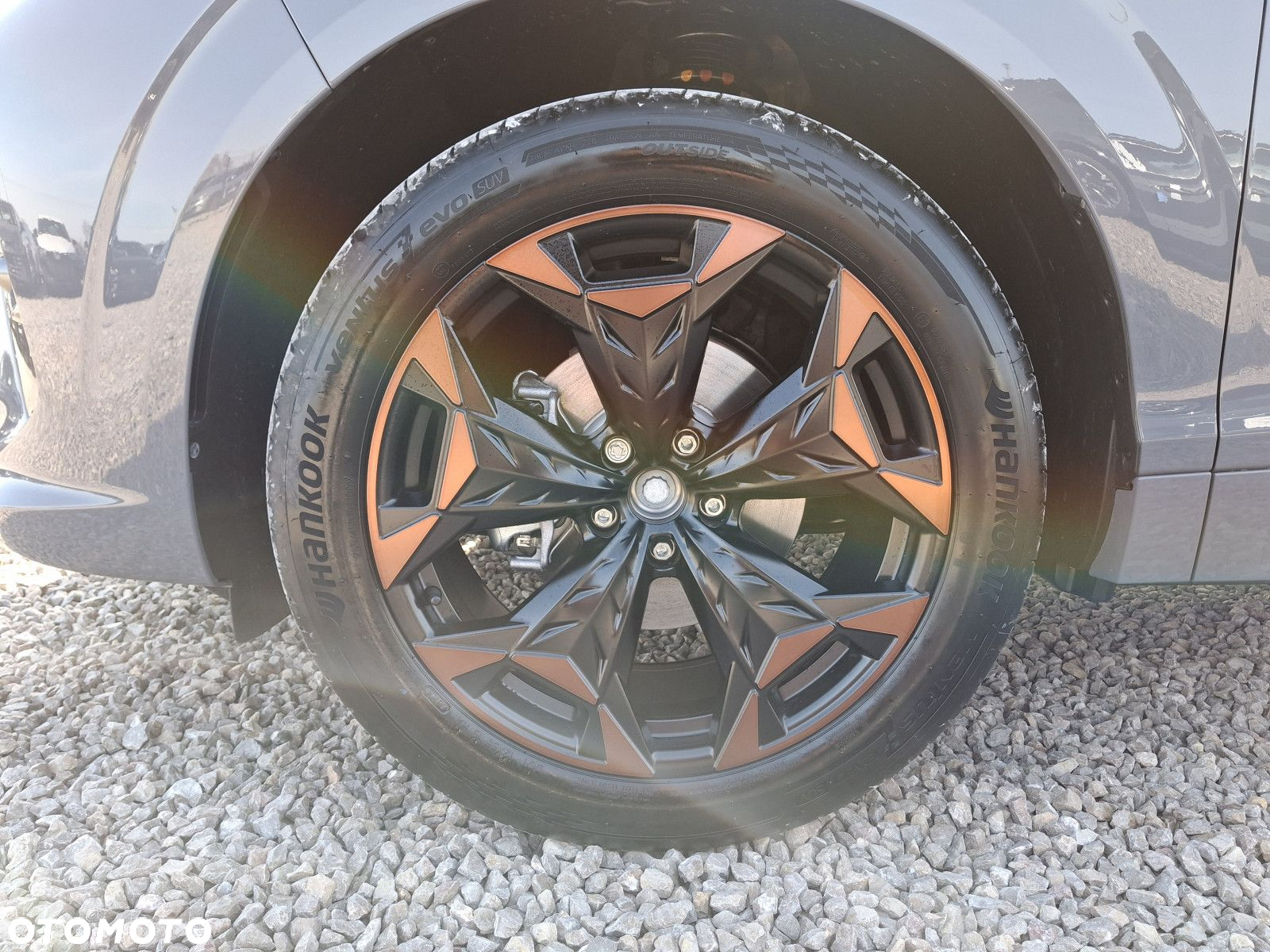 Cupra Terramar - 9