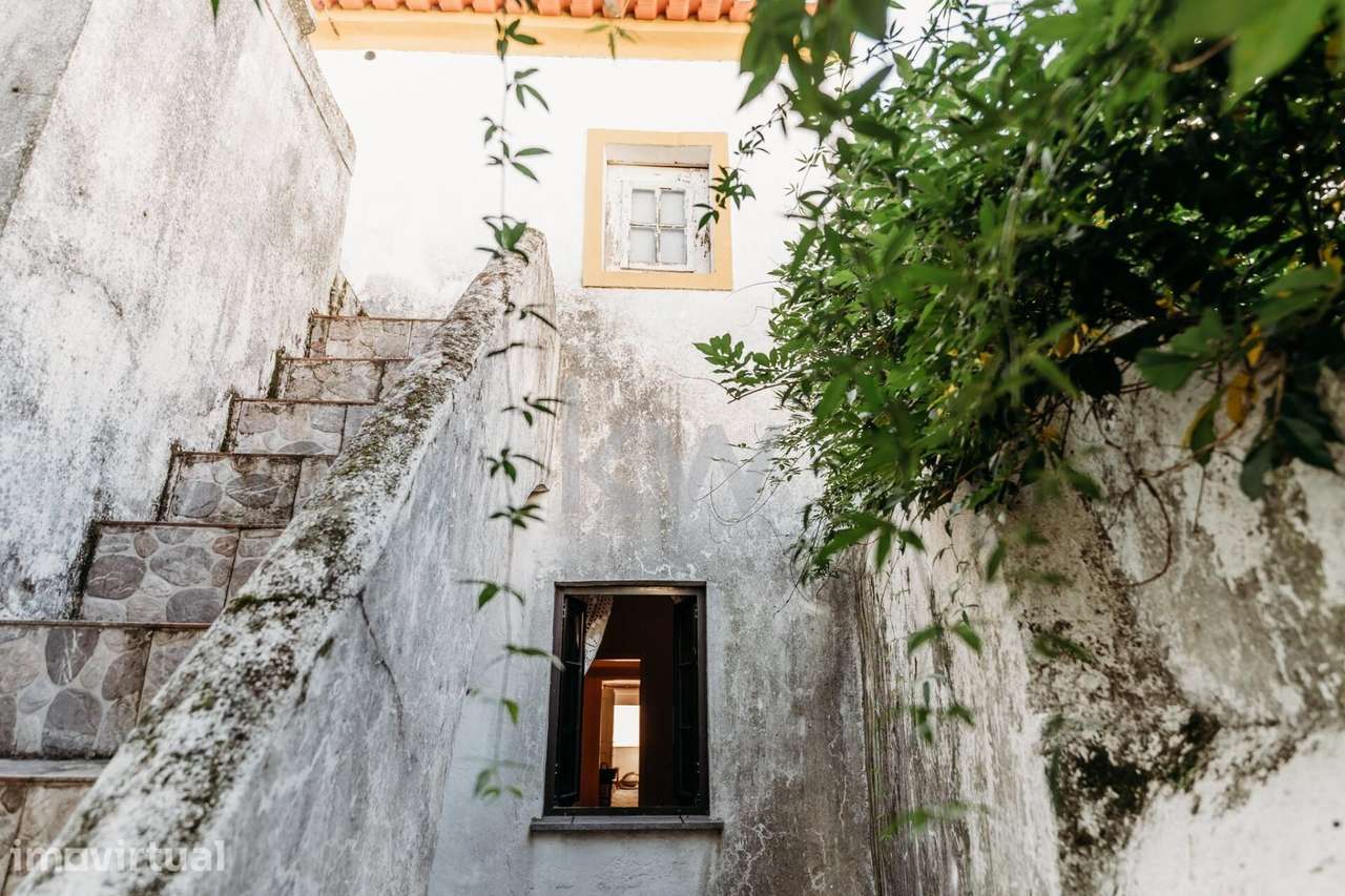 Solar Alentejano Centenário em Alter do Chão - Grande imagem: 3/21