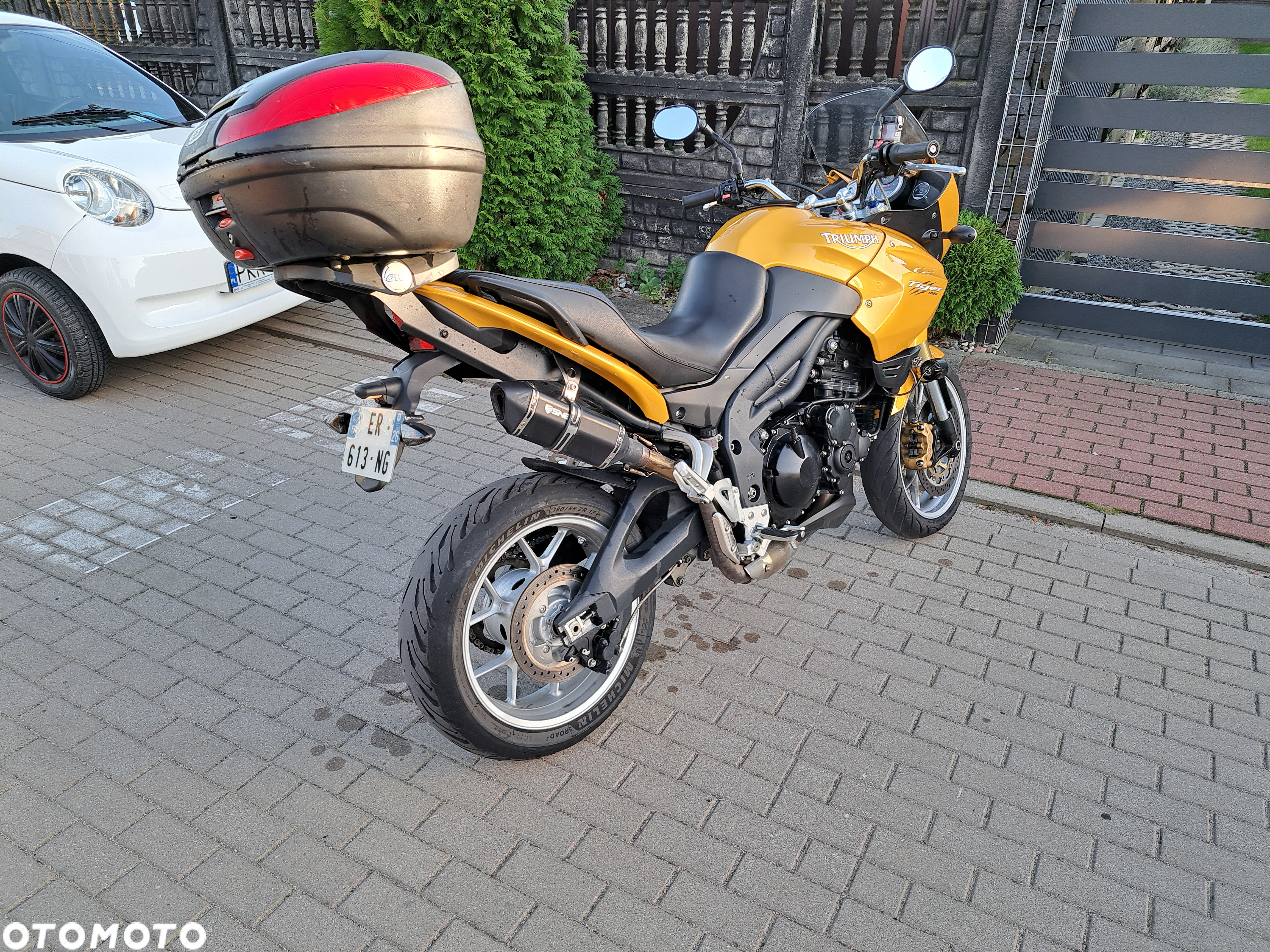 Triumph Tiger - 8