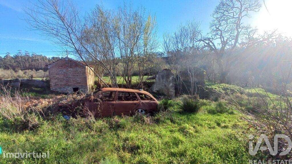 Casa de Campo em Santiago e São Simão de Litém e Albergaria dos Doze d - Grande imagem: 3/26