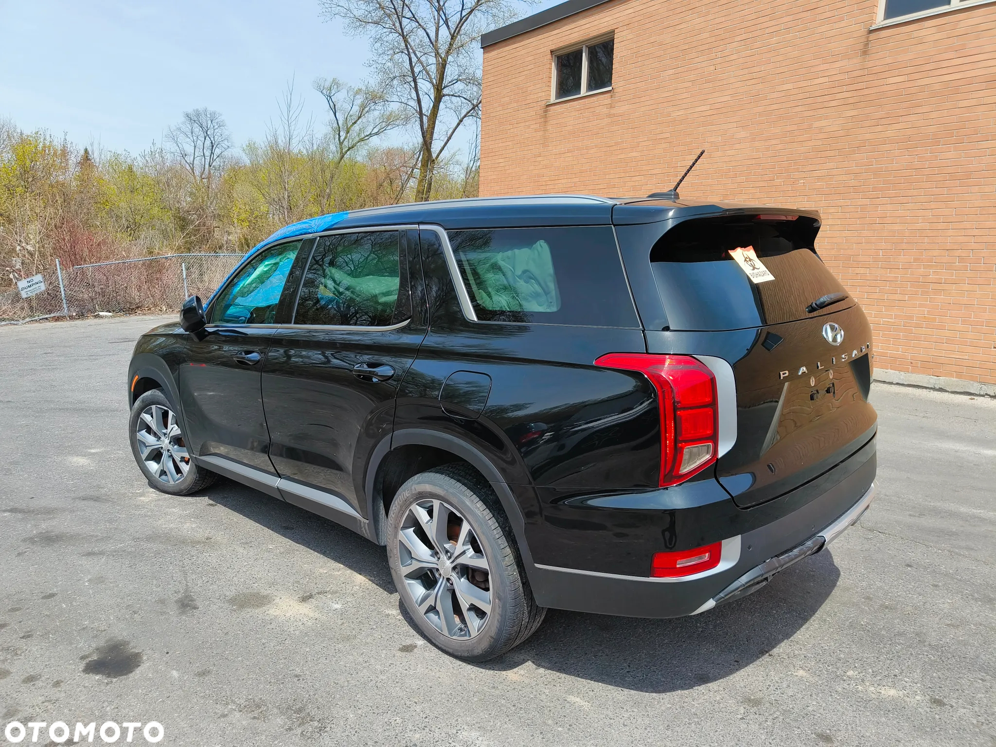Hyundai Palisade - 17