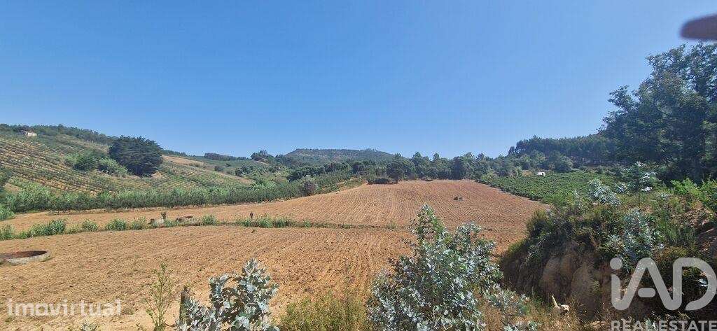 Terreno em Azueira e Sobral da Abelheira de 26562,00 m2 - Grande imagem: 3/29