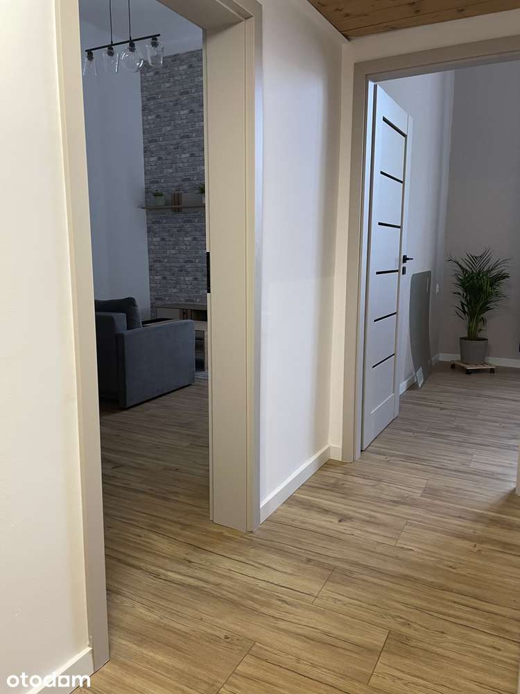 Kraków Centrum | ul. Lenartowicza | 2 pokoje | BEZ CZYNSZU | 3000 zł