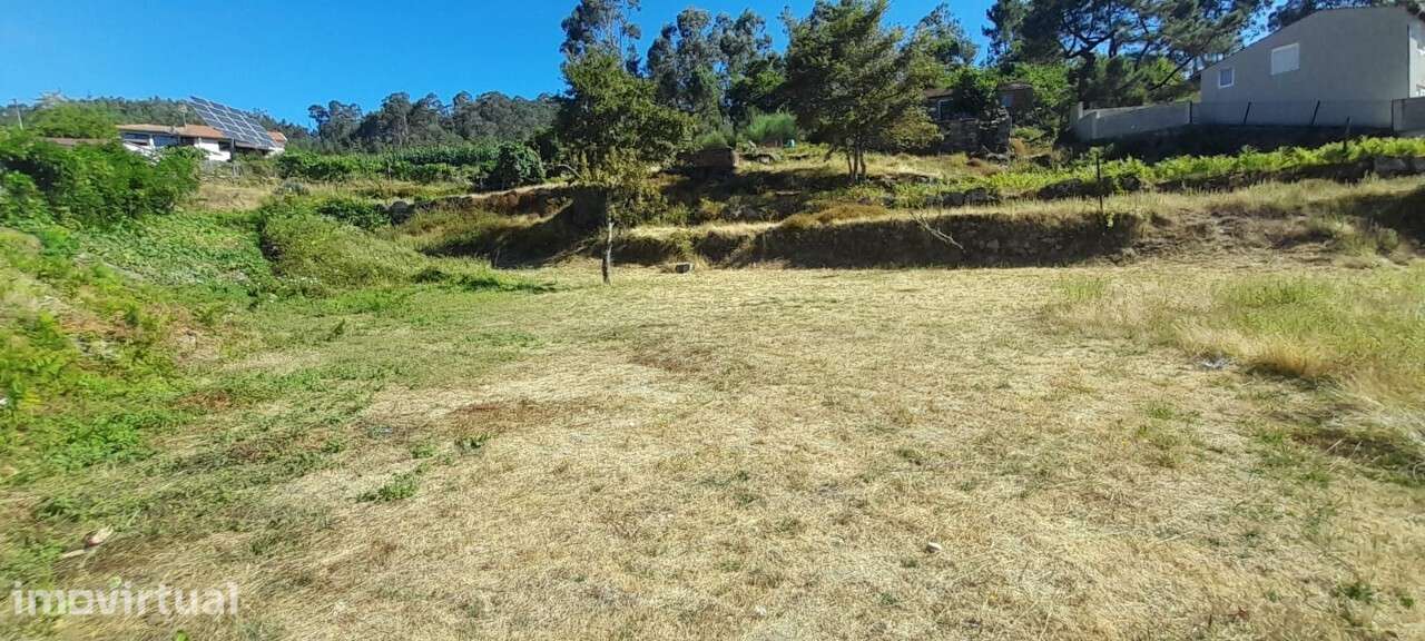Terreno Rústico para venda em Sever de Vouga