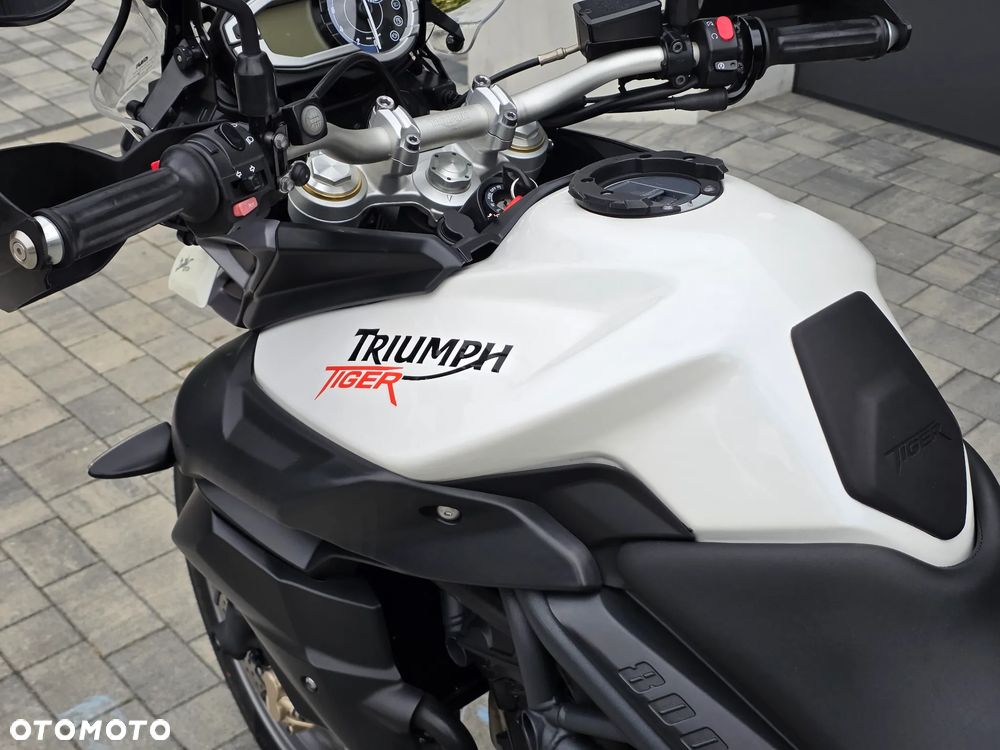 Triumph Tiger - 31